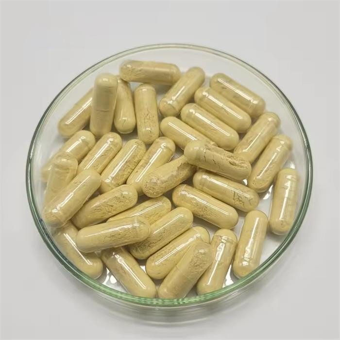 超級食物：海藻